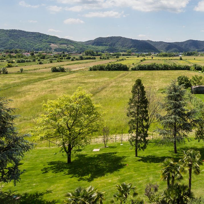 Un vasto parco verde